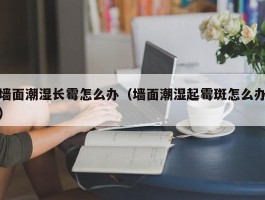 墙面潮湿长霉怎么办（墙面潮湿起霉斑怎么办）