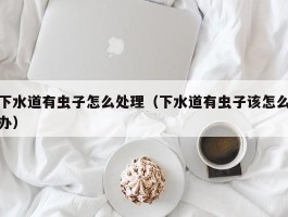 下水道有虫子怎么处理（下水道有虫子该怎么办）
