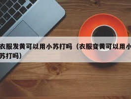 衣服发黄可以用小苏打吗（衣服变黄可以用小苏打吗）
