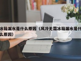 冰箱漏水是什么原因（风冷无霜冰箱漏水是什么原因）